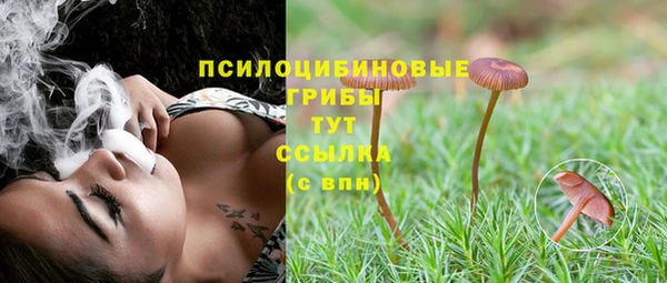 прущая мука Ладушкин